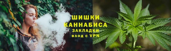 амф Козельск