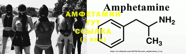 амф Козельск