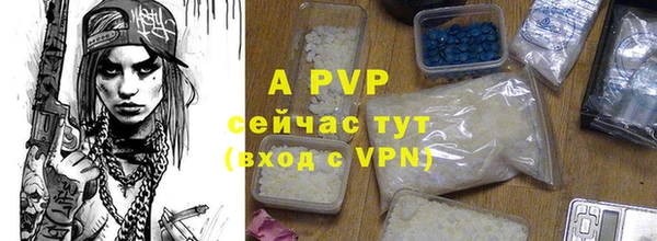 спайс Кодинск