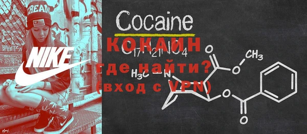 амф Козельск