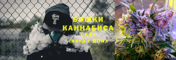 амф Козельск