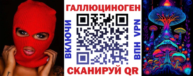 Галлюциногенные грибы Psilocybine cubensis  Сортавала 