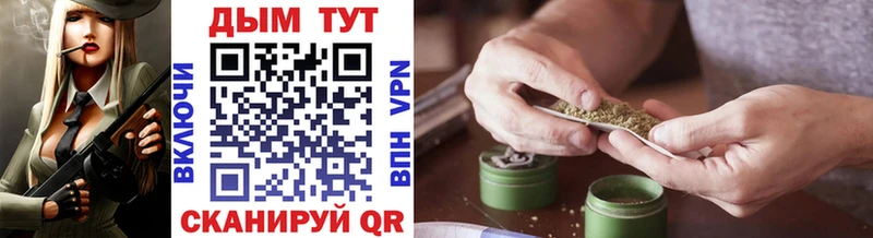 Каннабис OG Kush  как найти   Сортавала 